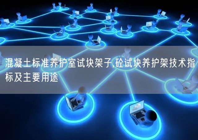 混凝土標準養(yǎng)護室試塊架子,砼試塊養(yǎng)護架技術指標及主要用途(圖1)