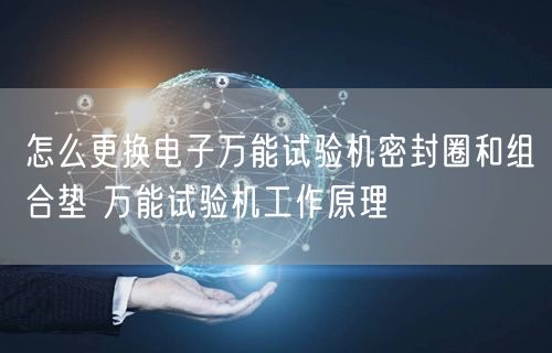 怎么更換電子**試驗機(jī)密封圈和組合墊 **試驗機(jī)工作原理(圖1)