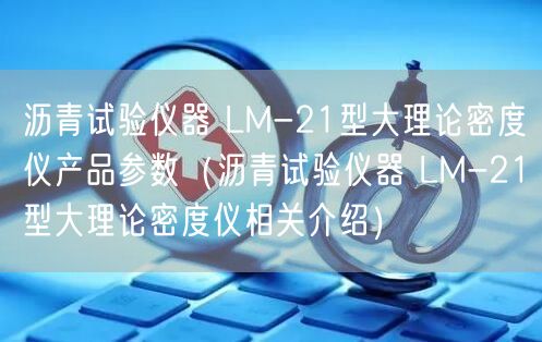 瀝青試驗儀器 LM-21型大理論密度儀產品參數（瀝青試驗儀器 LM-21型大理論密度儀相關介紹）(圖1)