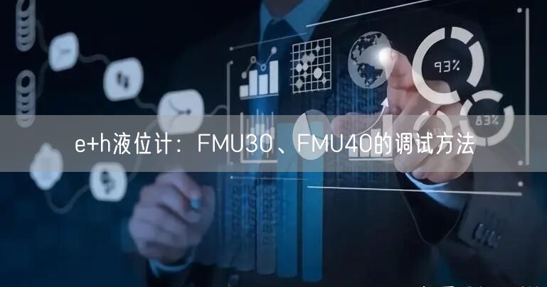 e+h液位計：FMU30、FMU40的調(diào)試方法(圖1)