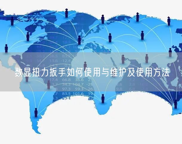 數(shù)顯扭力扳手如何使用與維護(hù)及使用方法(圖1) 數(shù)顯扭力扳手如何使用與維護(hù)及使用方法(圖1)