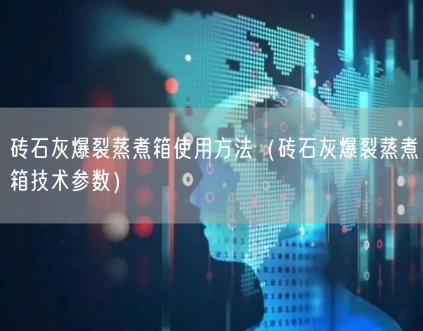 磚石灰爆裂蒸煮箱使用方法（磚石灰爆裂蒸煮箱技術(shù)參數(shù)）(圖1)