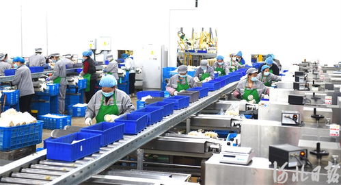 河北望都 智慧農(nóng)業(yè)促增收