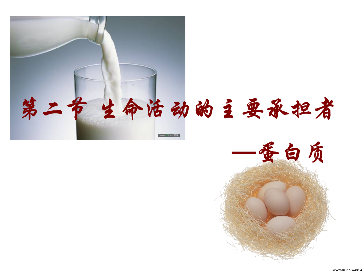 河北省石家莊第十五中學(xué)高二生物 生命活動的承擔(dān)者-蛋白質(zhì) 課件.ppt