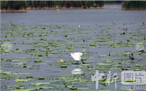 衡水新聞網(wǎng)