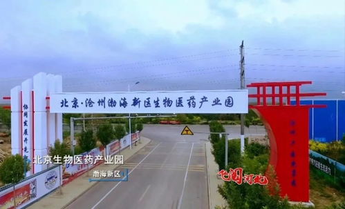 重磅視頻 飛躍河北 滄州篇 黃驊竟然這么美