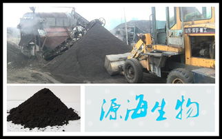 發酵雞糞有機肥,雞糞有機肥多少錢一噸,河北源海生物有機肥廠