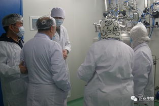 埃及農業部疫苗采購gmp驗廠檢查團 到吉林正業生物制品股份開展驗廠核準工作