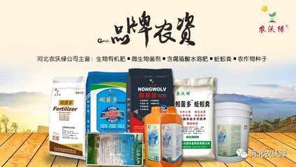 河北生物有機肥|河北水溶肥|河北微生物菌劑|河北農(nóng)沃綠農(nóng)業(yè)科技
