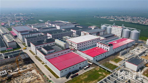 河北寧晉 生物大健康產(chǎn)業(yè)園助力高質(zhì)量發(fā)展