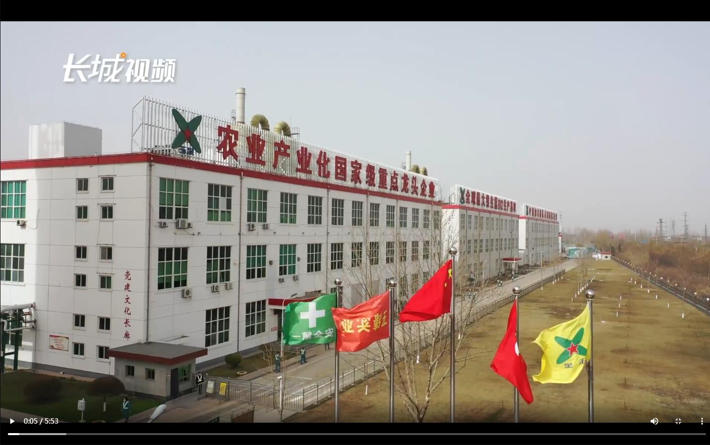 位于寧晉縣的河北玉鋒大健康生物產(chǎn)業(yè)園內(nèi),玉鋒實業(yè)集團副總.