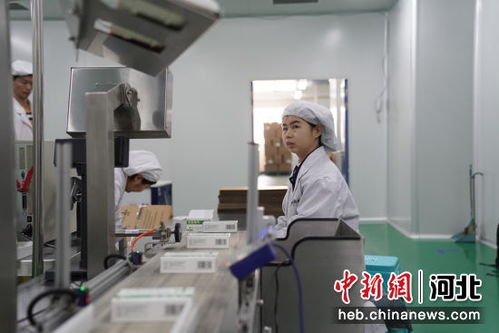 河北邢臺經(jīng)濟開發(fā)區(qū) 大力發(fā)展生物制造產(chǎn)業(yè) 推動集群化發(fā)展