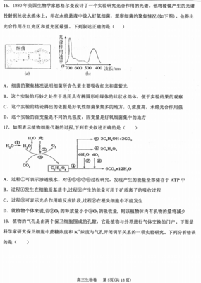 2020屆河北省衡水中學(xué)高三生物上學(xué)期期中試卷(圖片版)(5)
