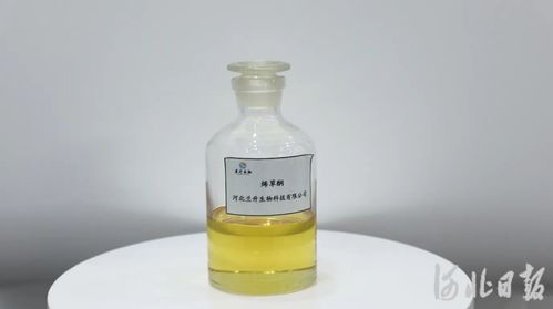 一瓶除草劑,如何實現(xiàn)全球首次連續(xù)化生產(chǎn) 京津冀協(xié)同創(chuàng)新河北故事