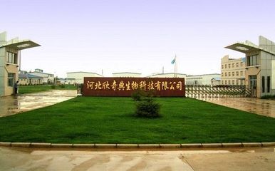 供應(yīng)南瓜籽油 1級(jí) 欣奇典生產(chǎn) - 中國(guó)制造交易網(wǎng)