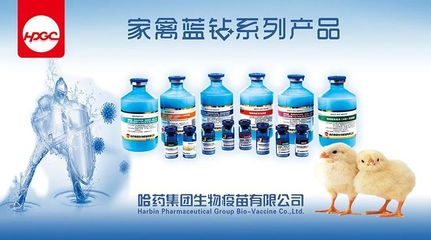 《2022年河北省主要動物疫病免疫計劃》《2022年河北省主要動物疫病監(jiān)測和流行病學調(diào)查計劃》