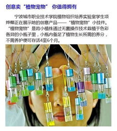 從北大屠夫到河北生物創(chuàng)業(yè)者 高學(xué)歷人才投身傳統(tǒng)行業(yè)的創(chuàng)新啟示