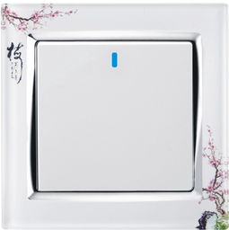供應家裝墻壁開關插座，打造安全便捷生活空間